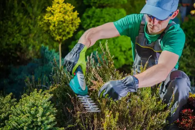 landscaping services Schenevus